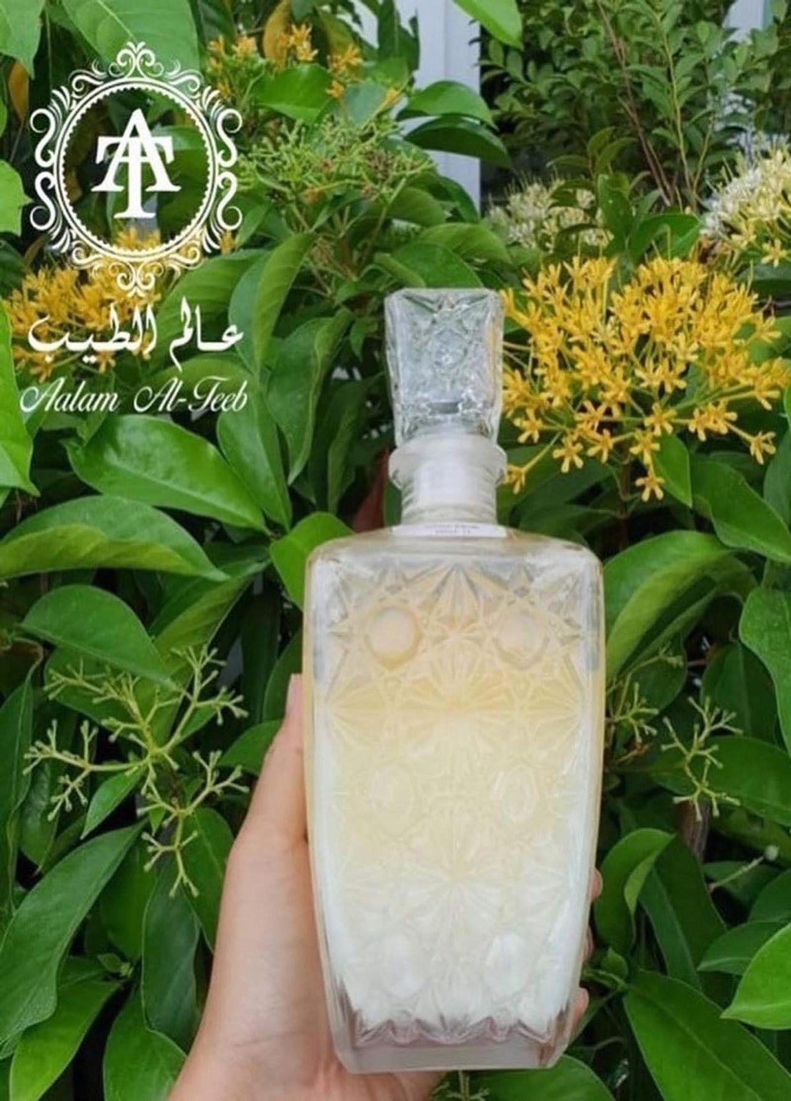 المسك الآبيض الهندي