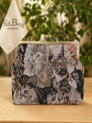Metal clasp bag