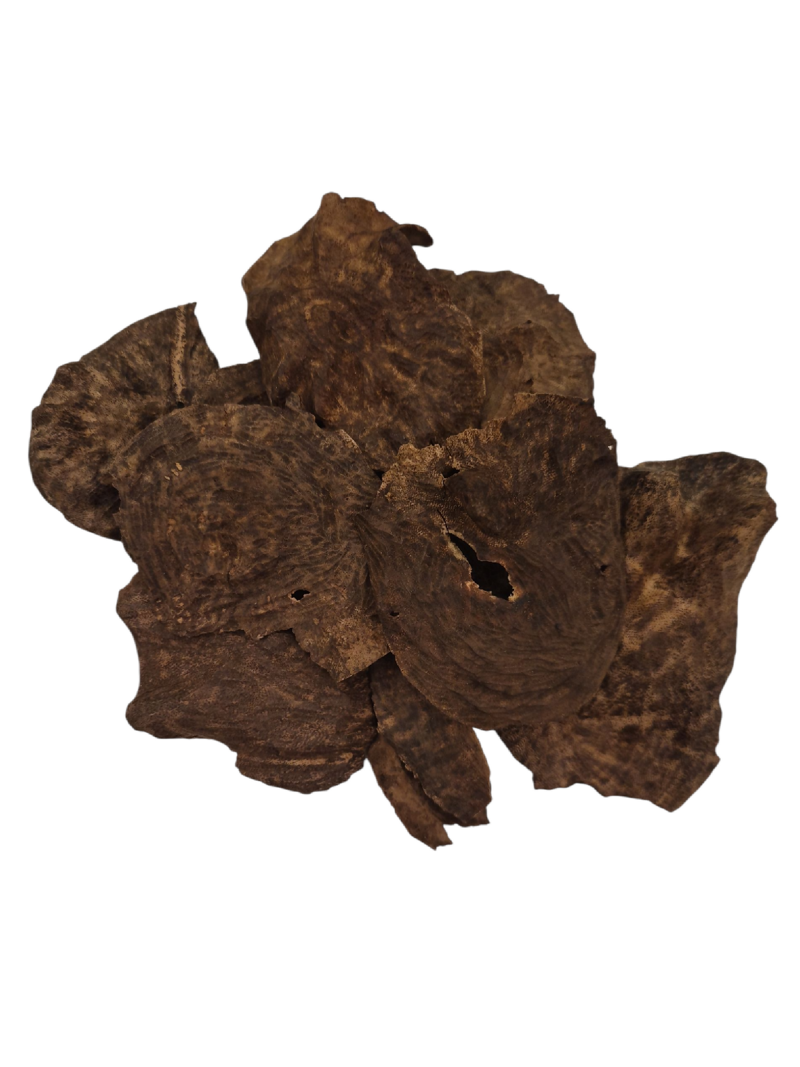 كمبودي غابات فاخر