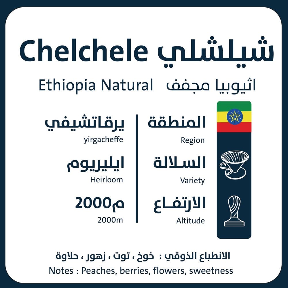 شيلشيلي - 2
