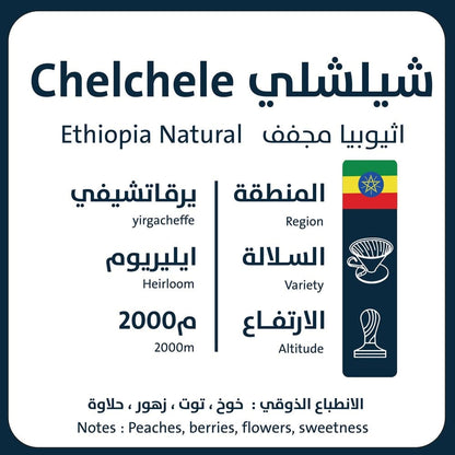 شيلشيلي - 2