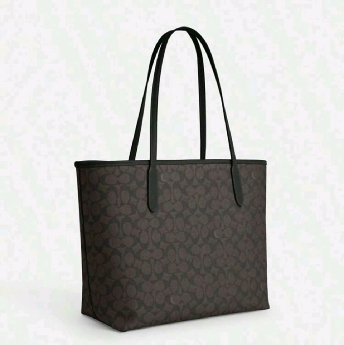 Coach hand bag (original)